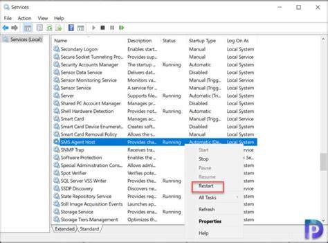 SMS Agent Host Service